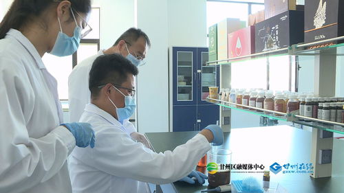 科技匠心賦能食藥同源，青春力量書寫產業華章——何貴山的技術服務之路